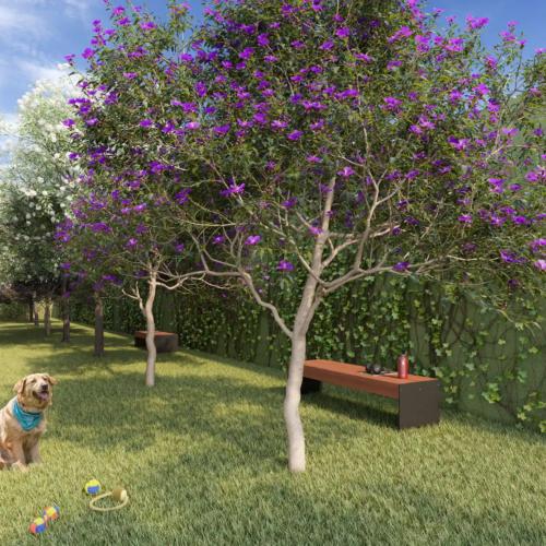 Mac Vila Clementino (4)